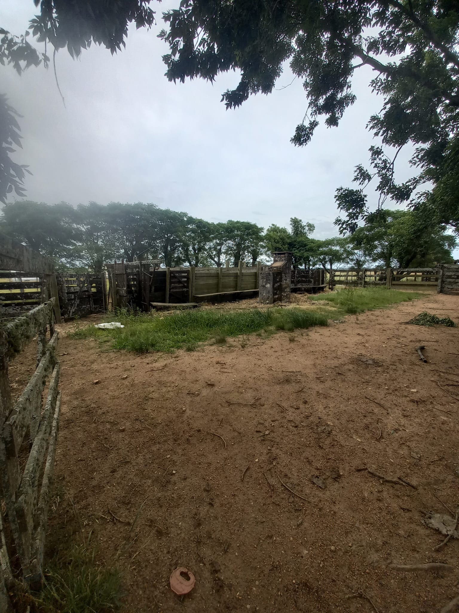 campo