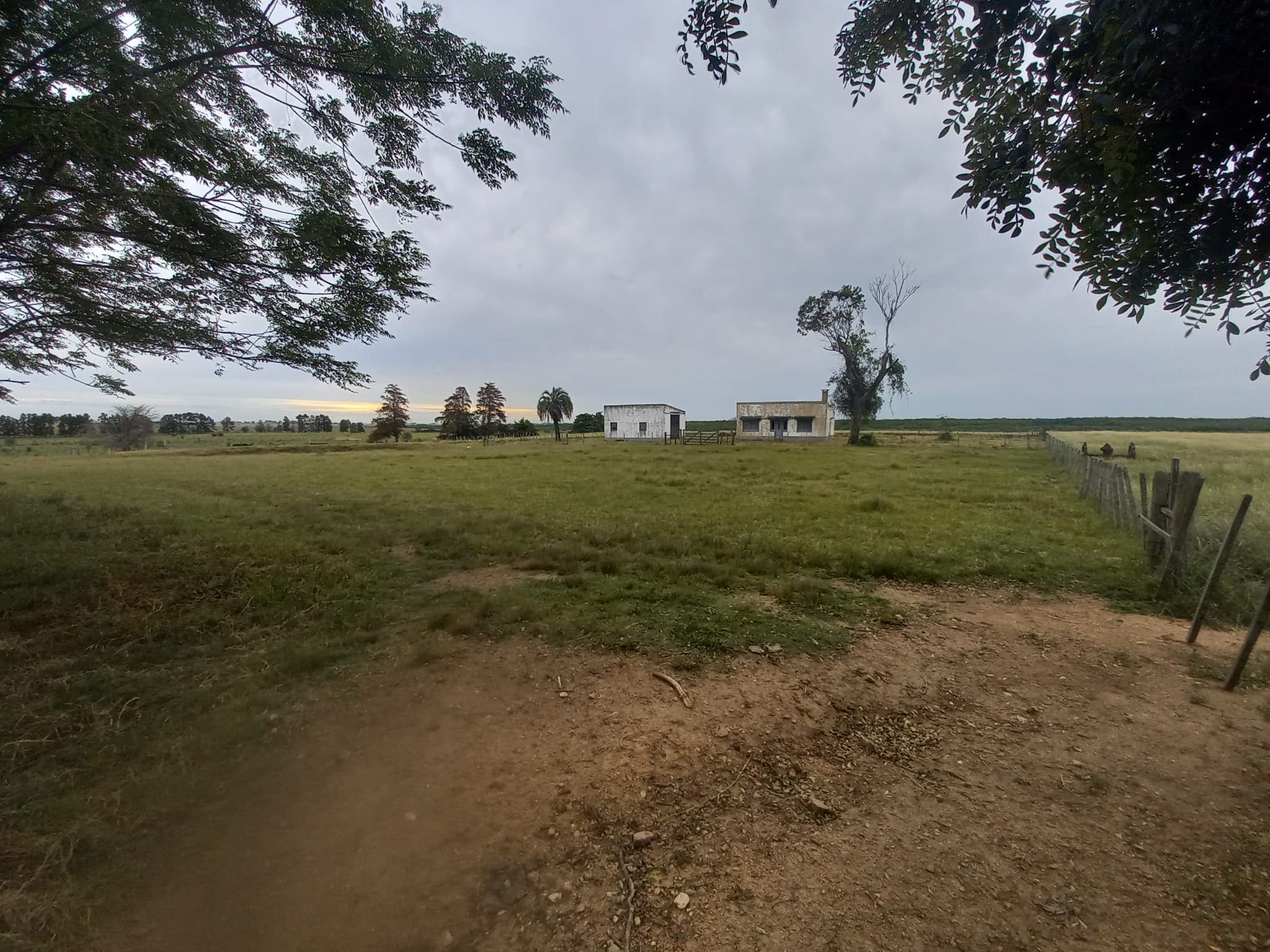 campo