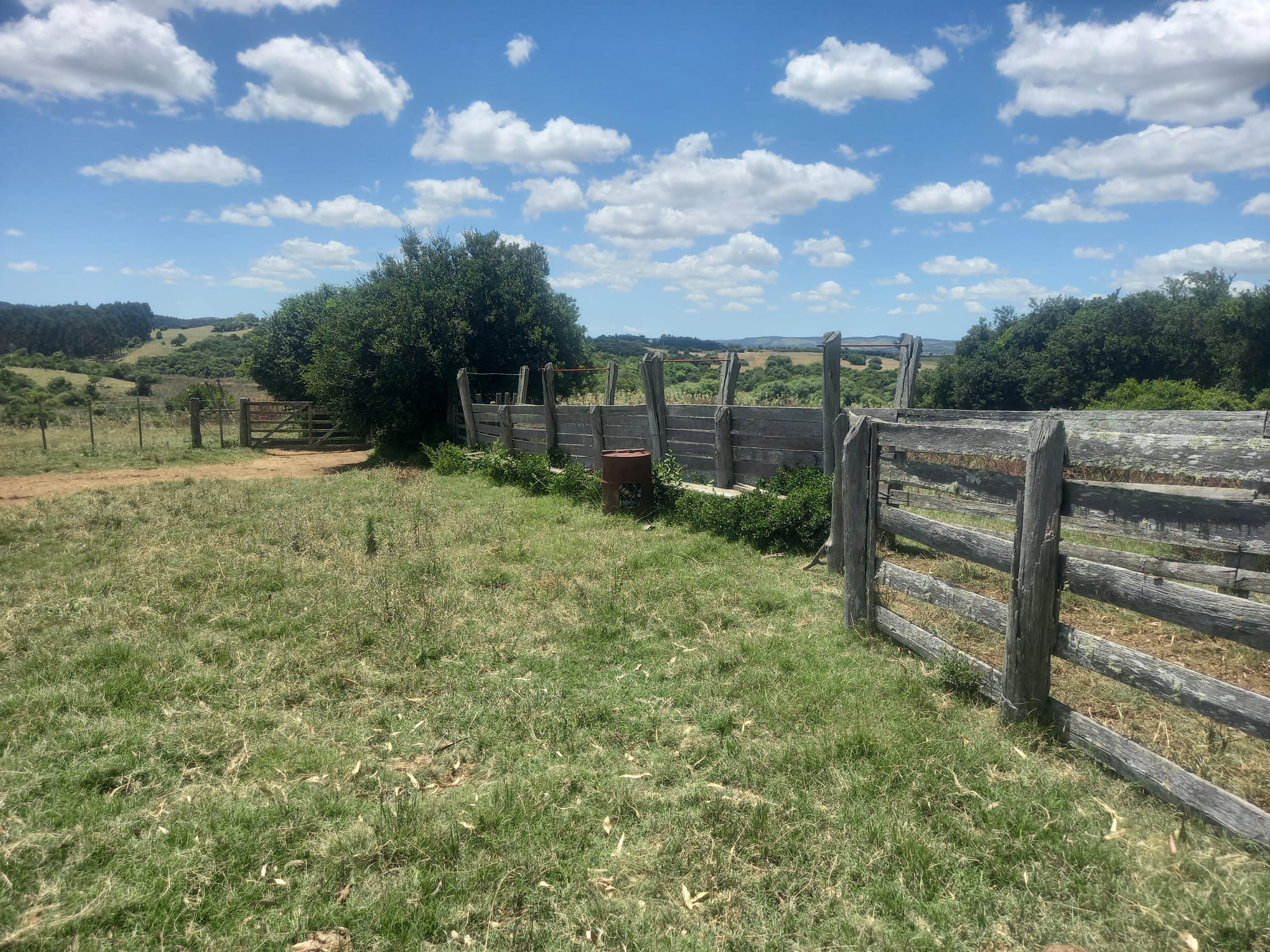 campo
