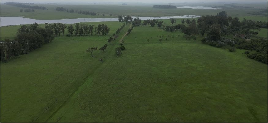 campo