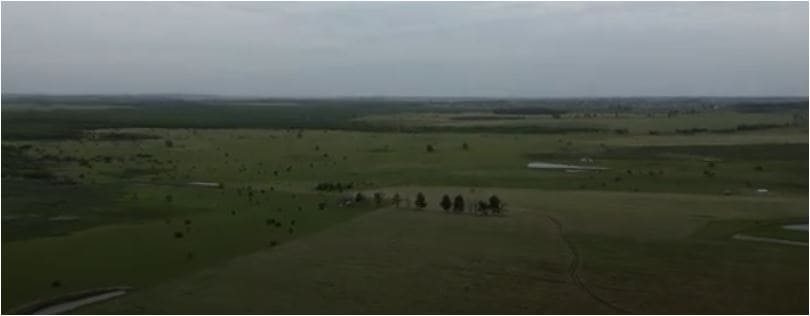 campo