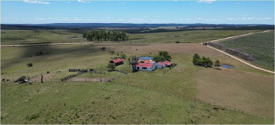 campo
