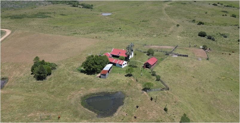 campo