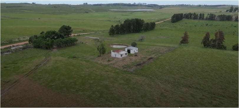 campo