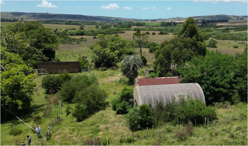 campo