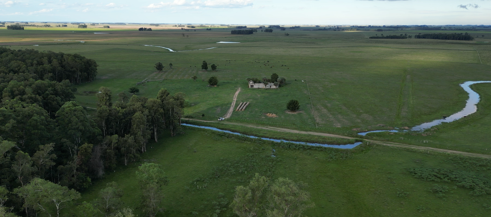 campo