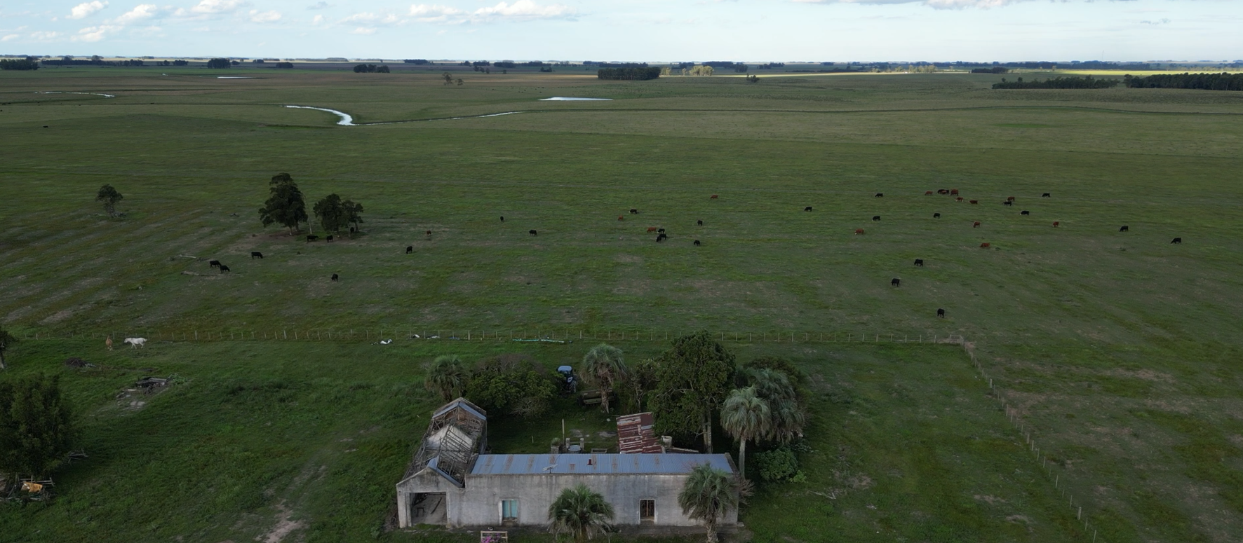 campo