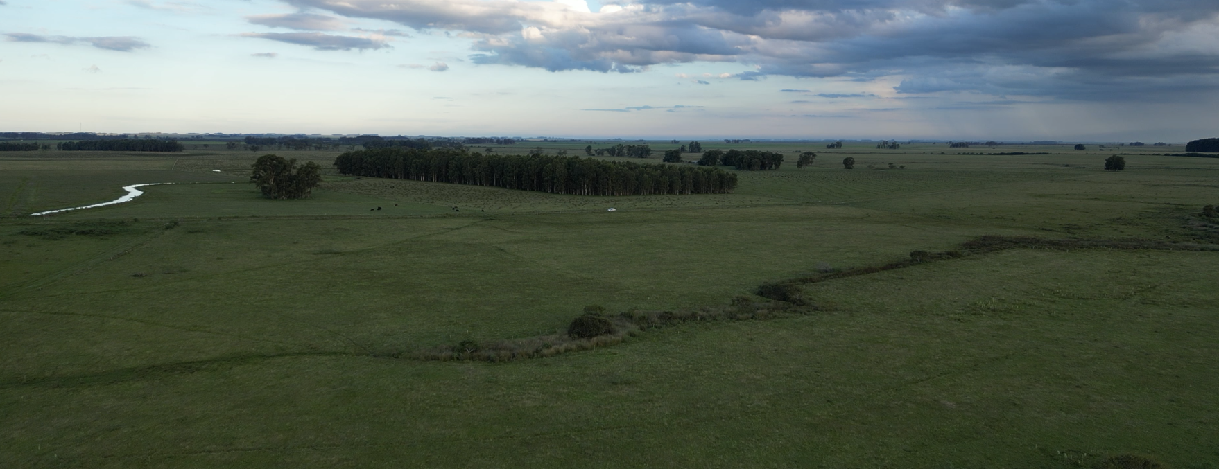 campo