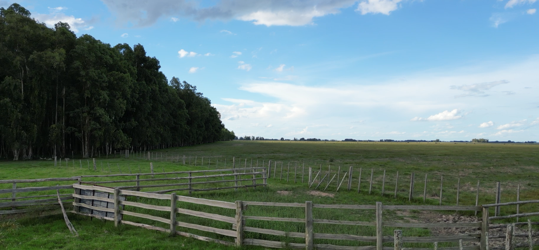 campo