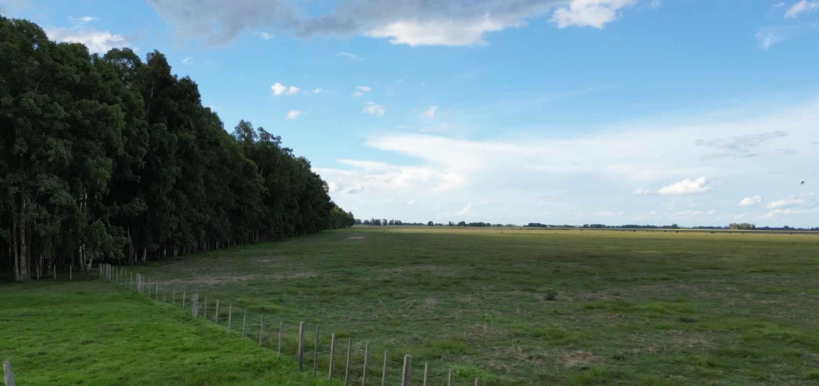 campo