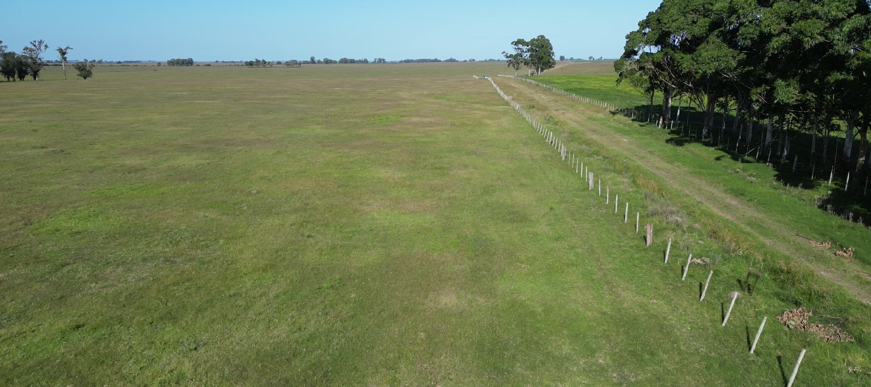campo