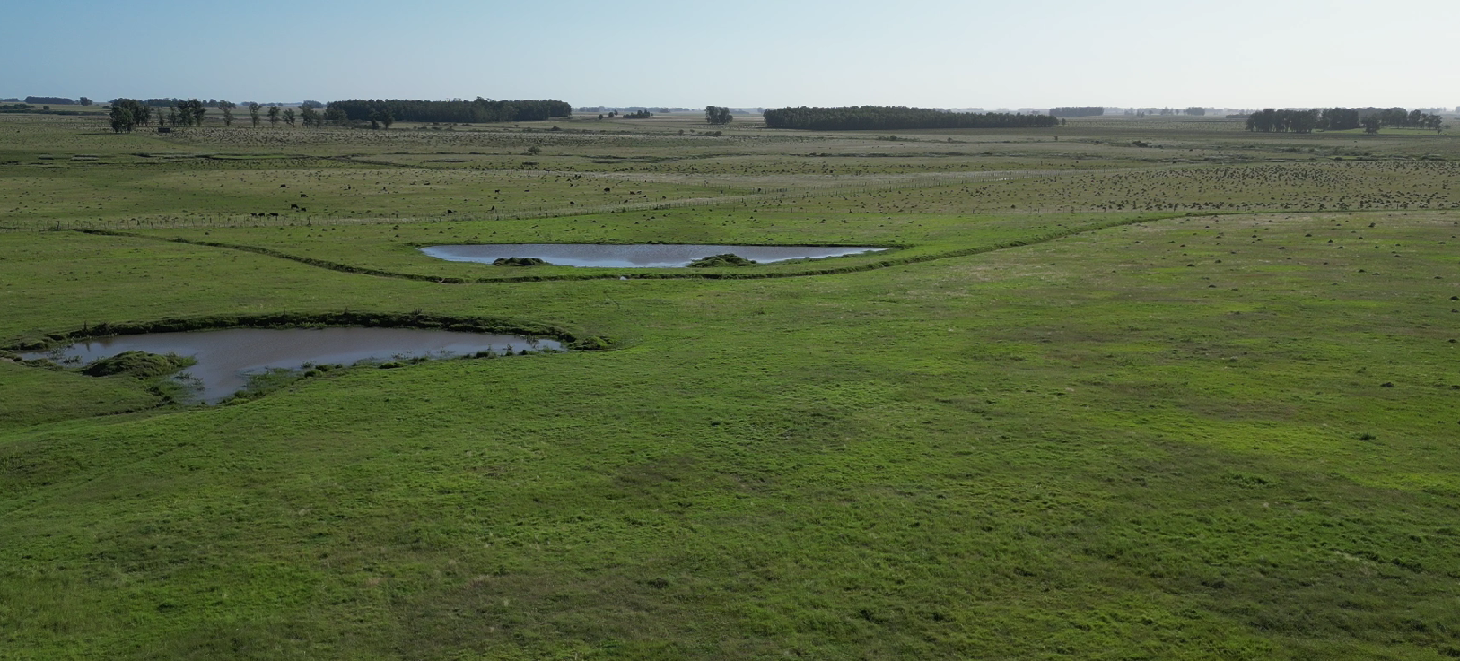 campo