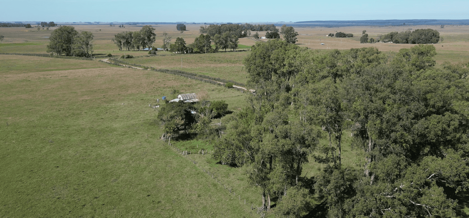 campo