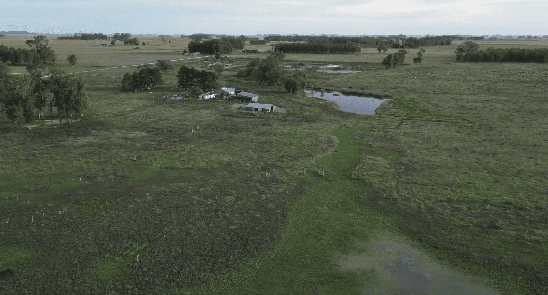 campo