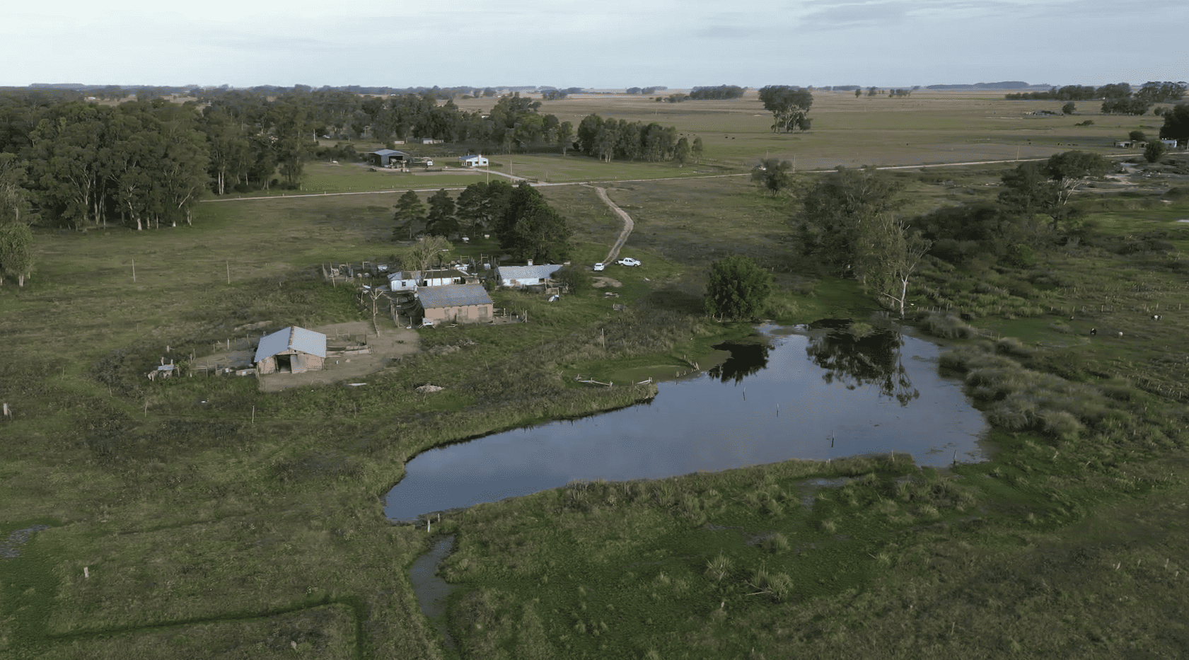 campo