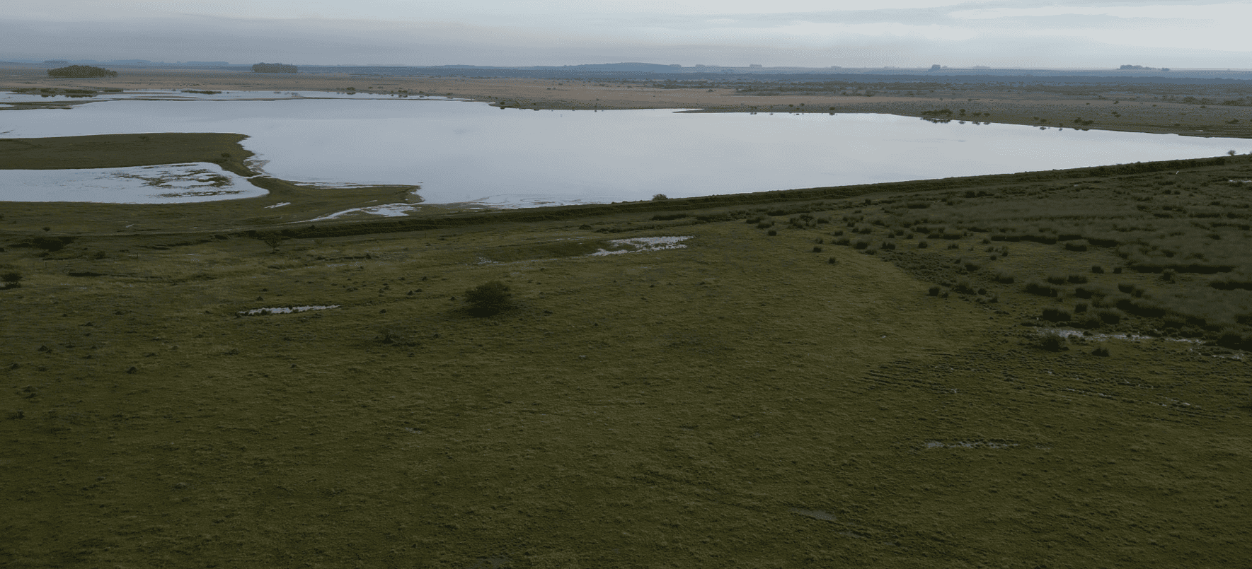 campo