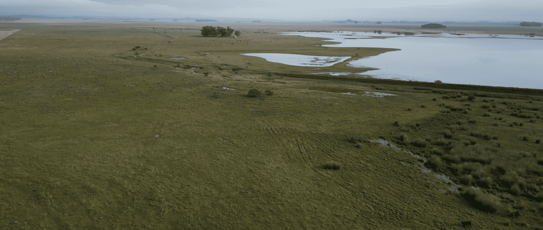 campo
