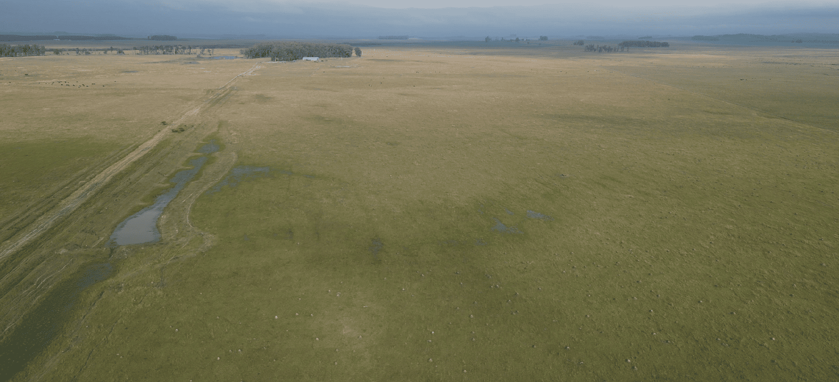 campo