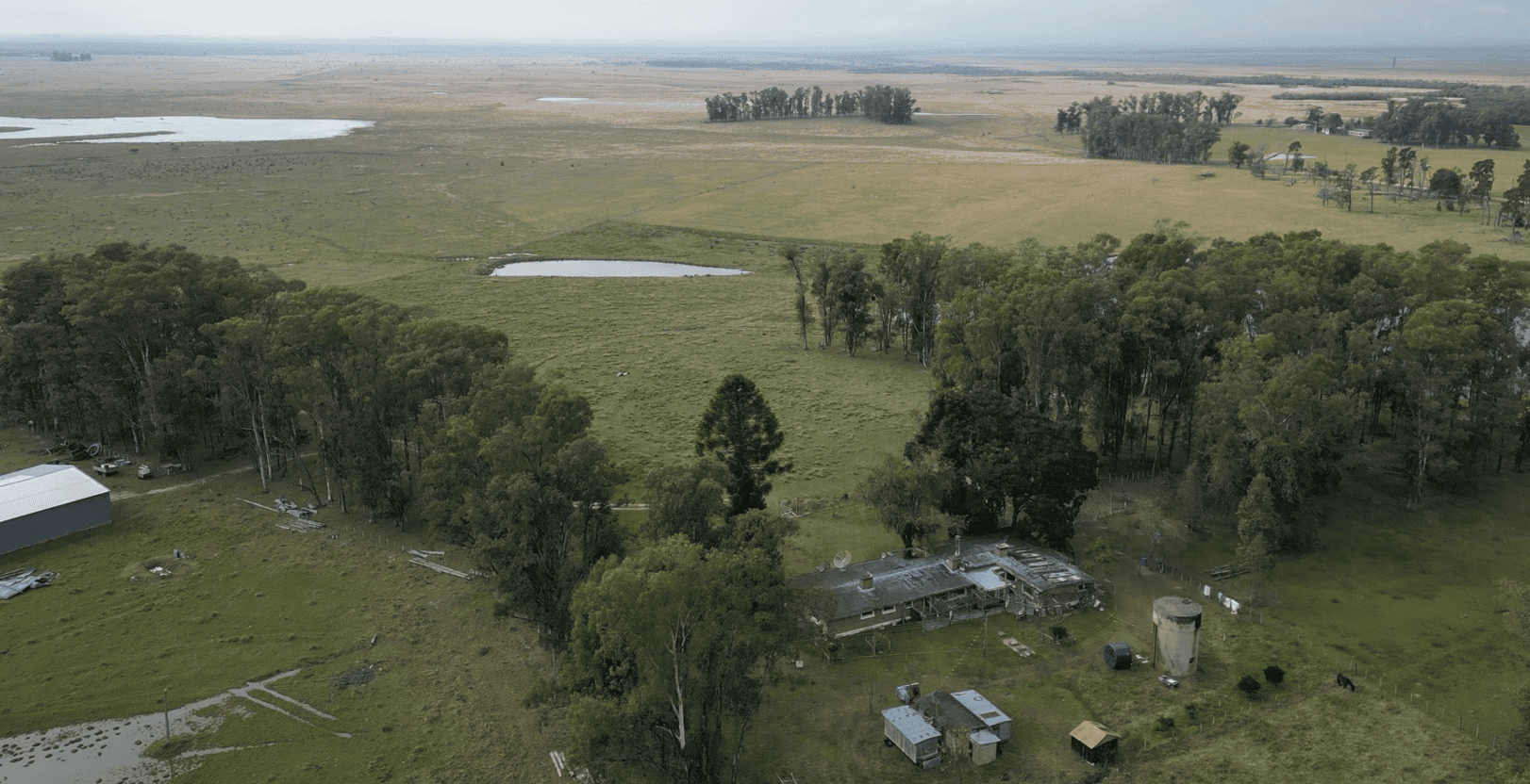 campo