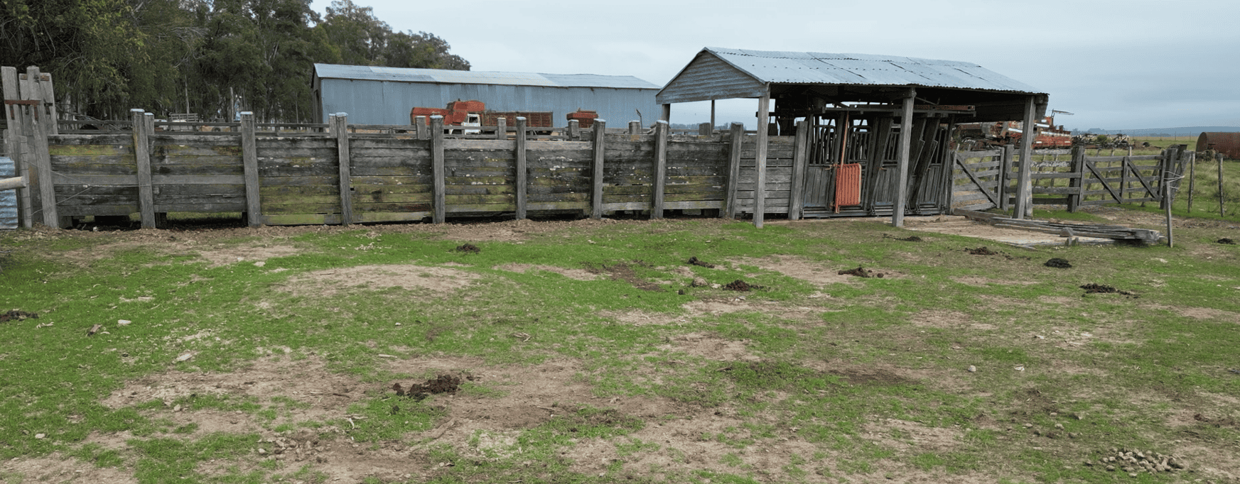 campo