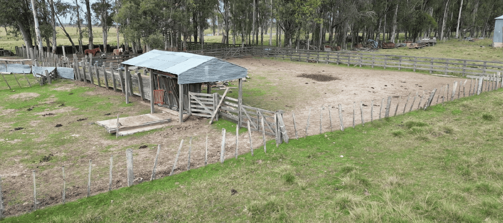 campo