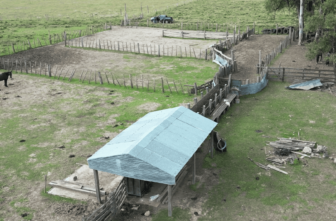 campo