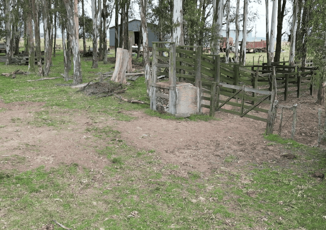 campo