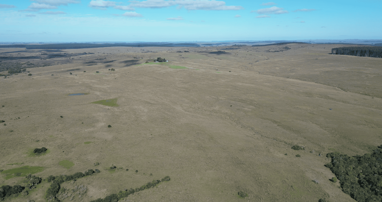 campo