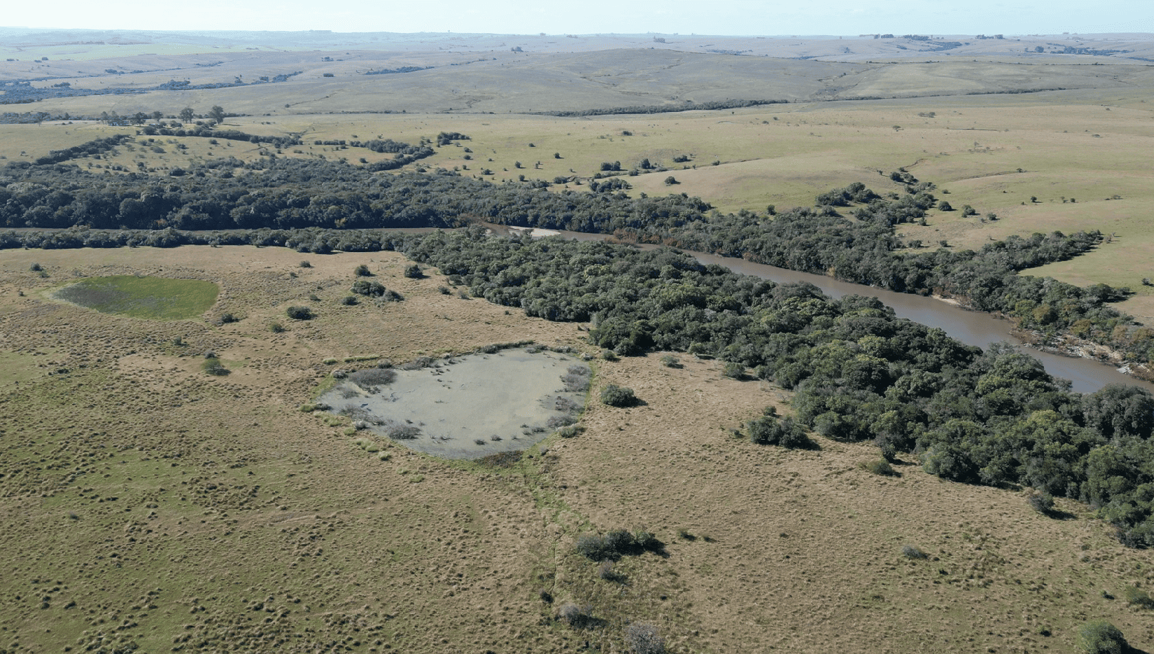 campo