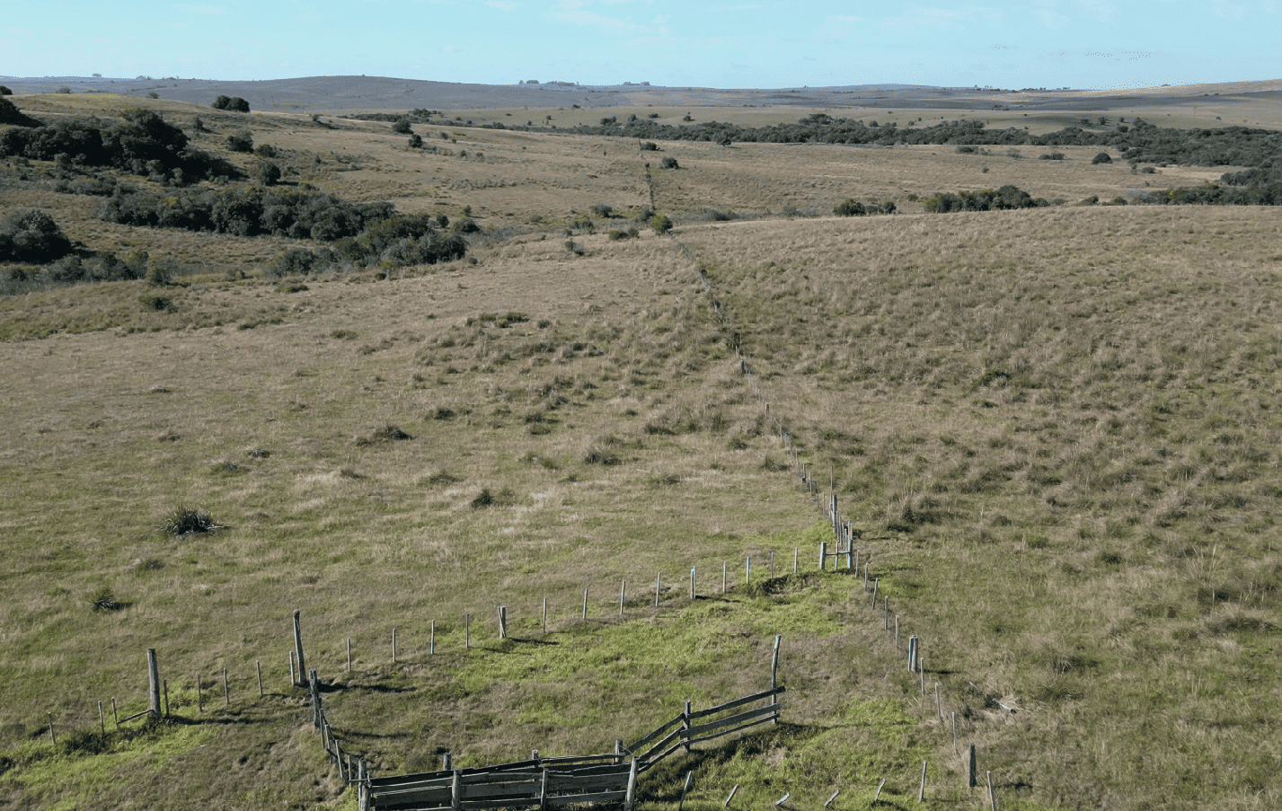 campo