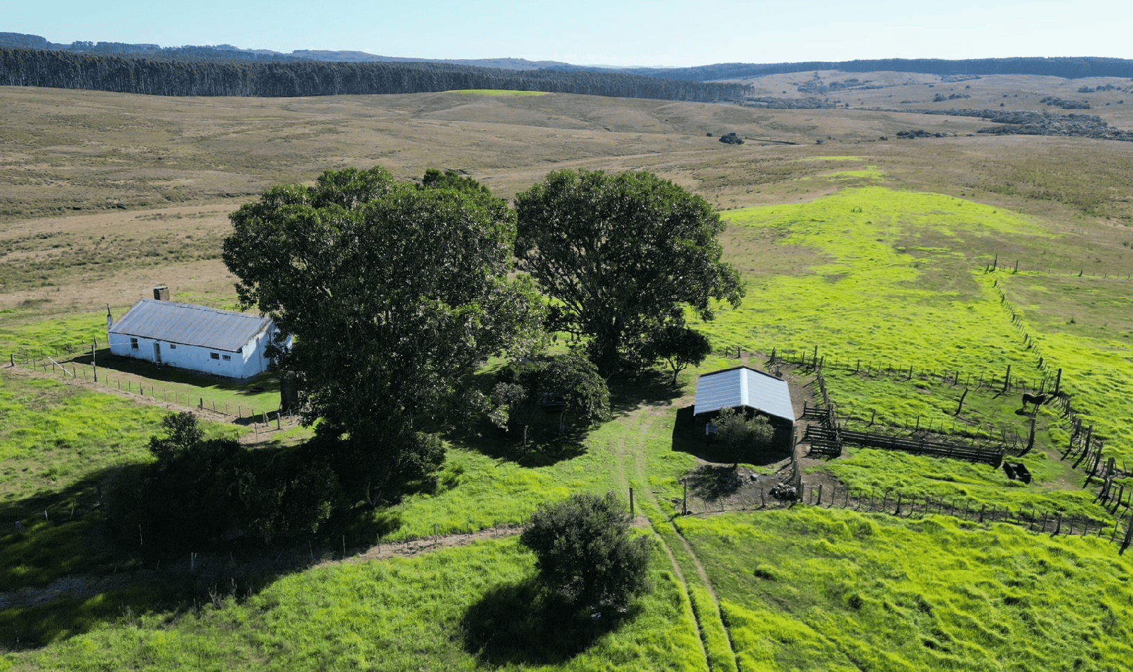 campo