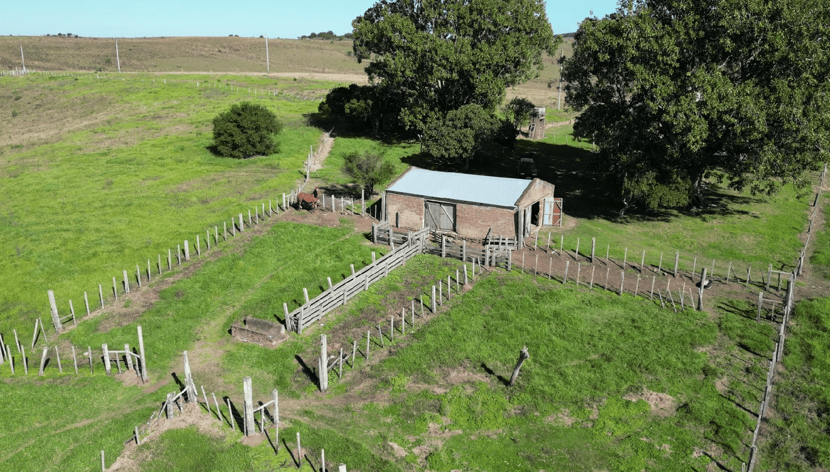 campo