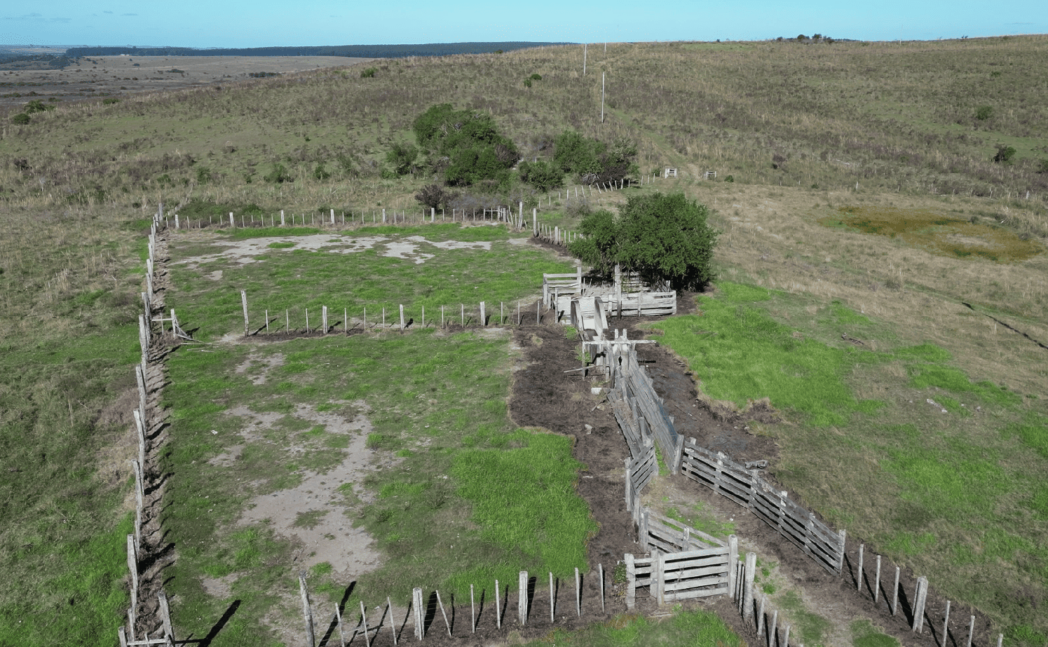 campo
