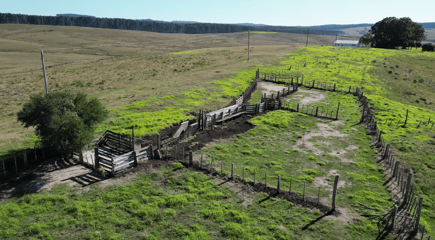 campo