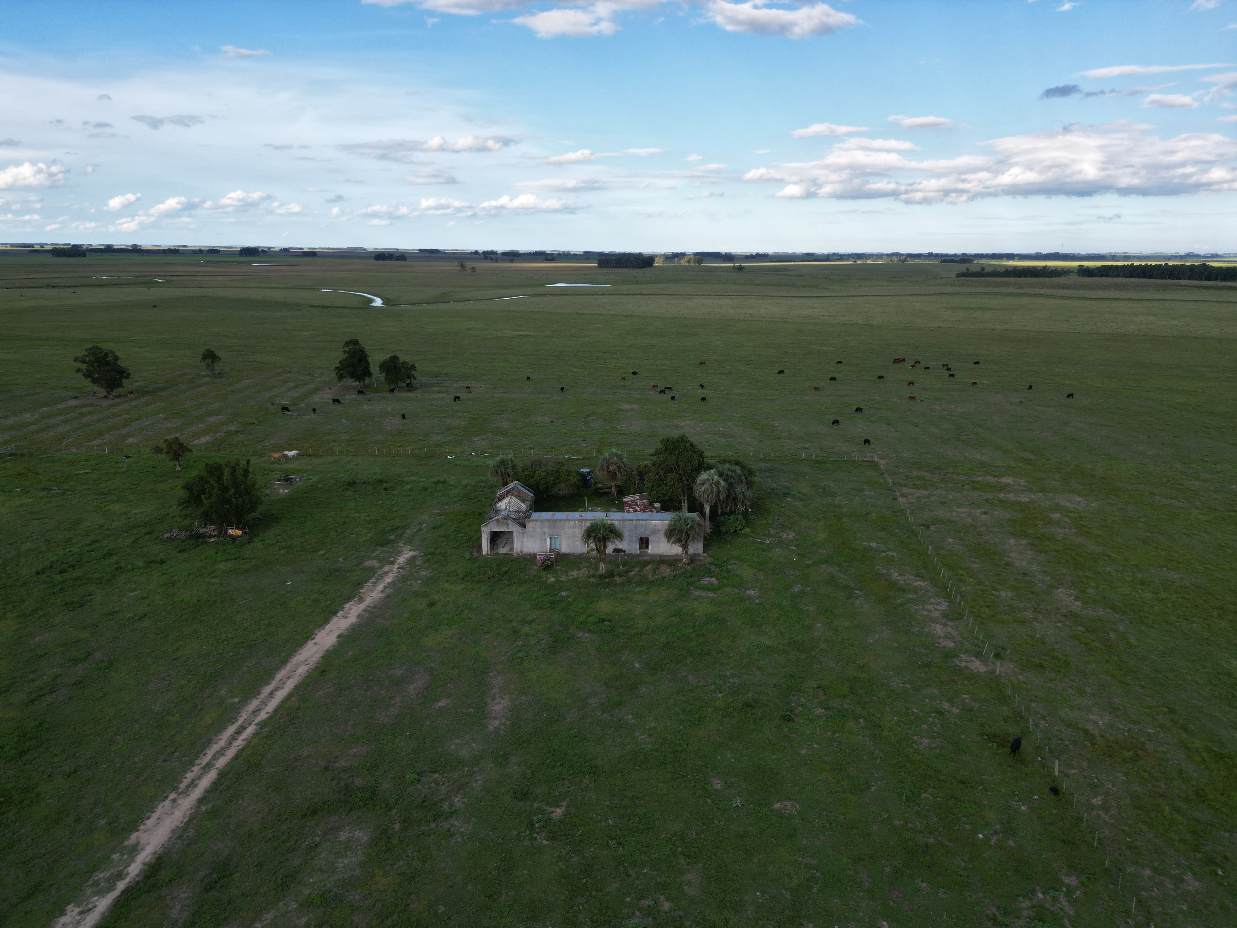 campo