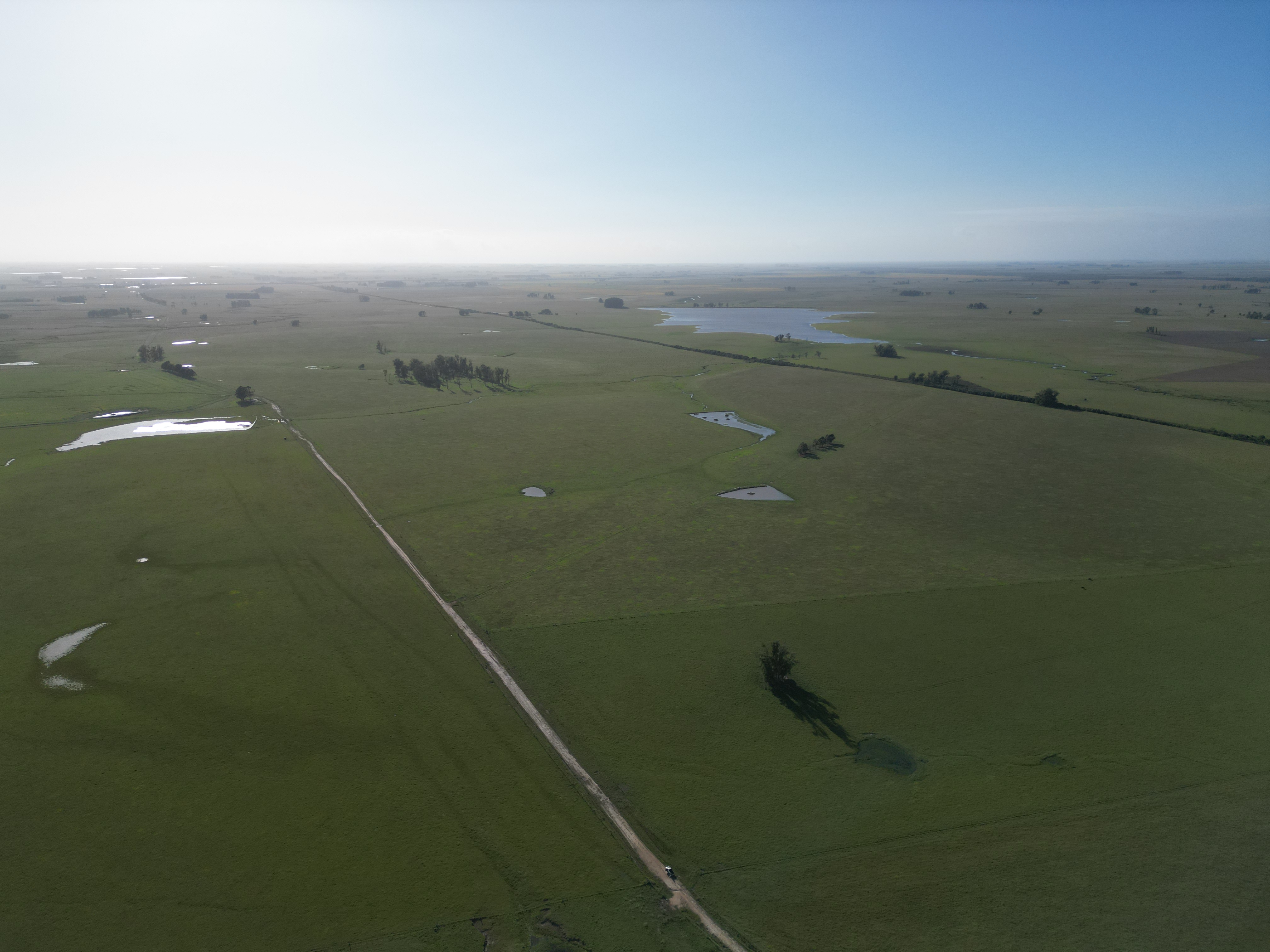 campo