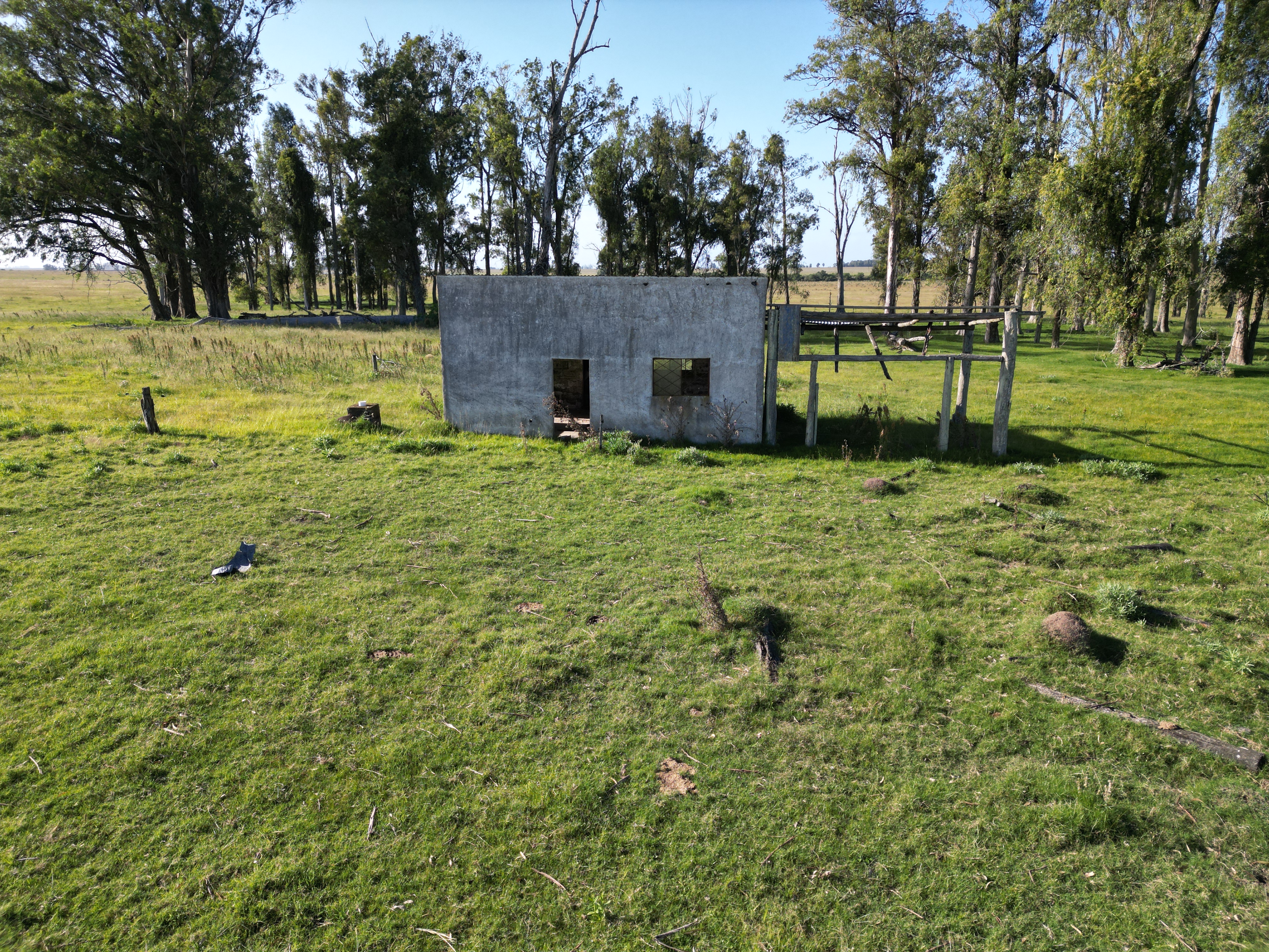 campo