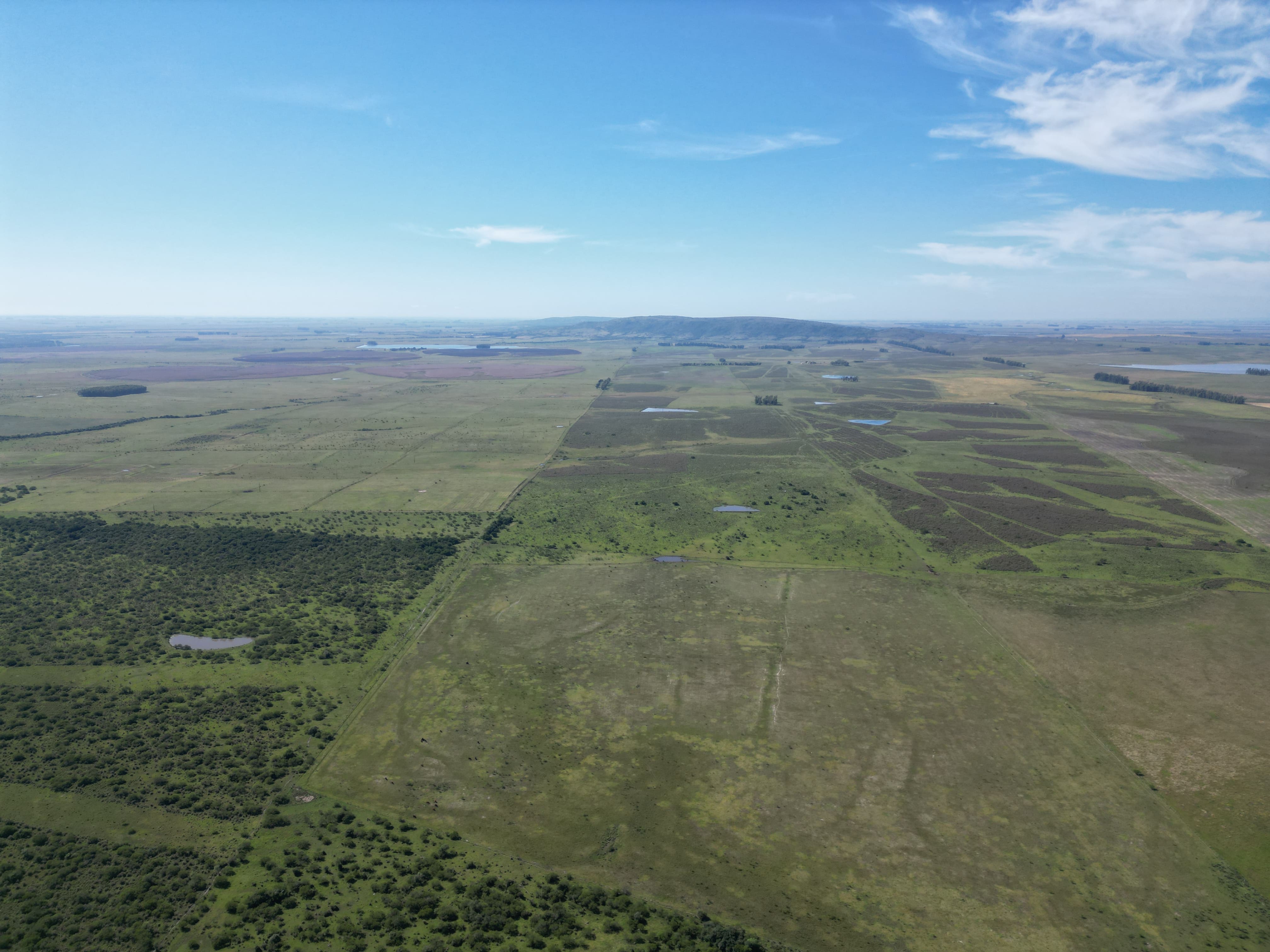 campo