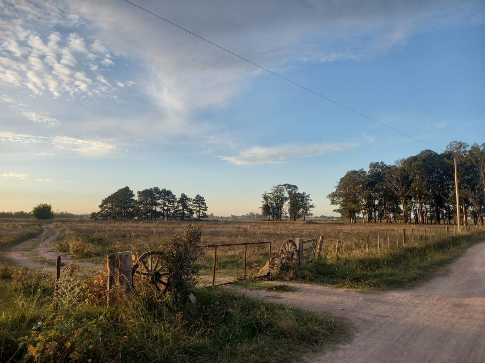campo