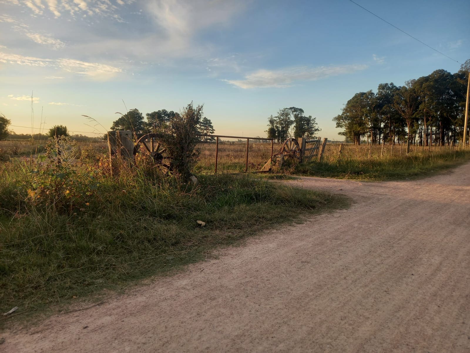 campo
