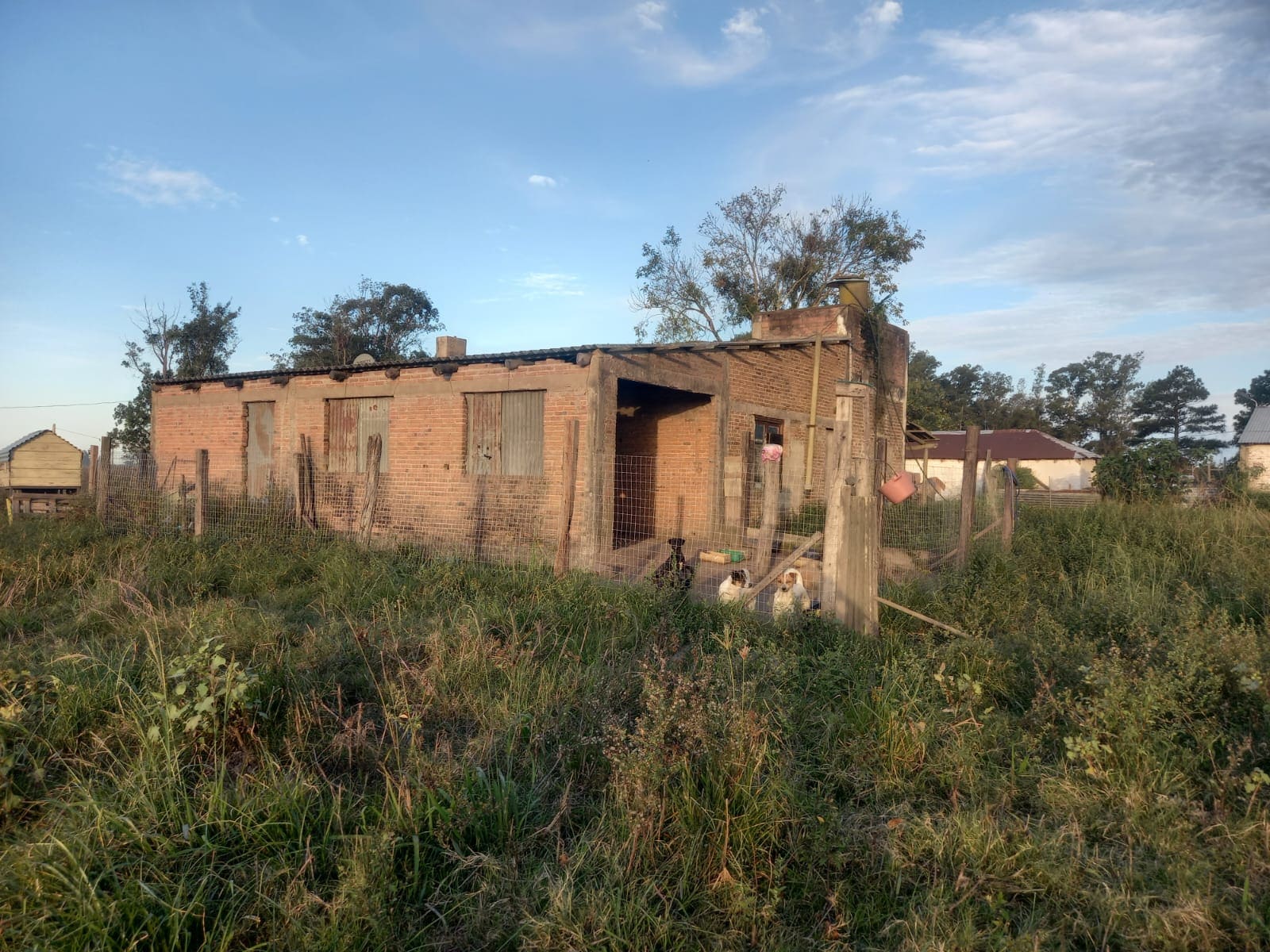 campo