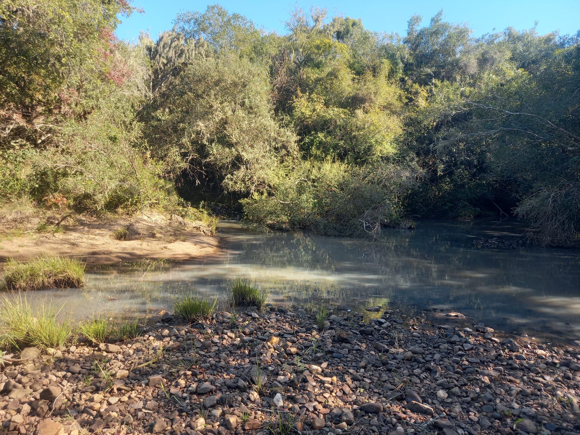 campo