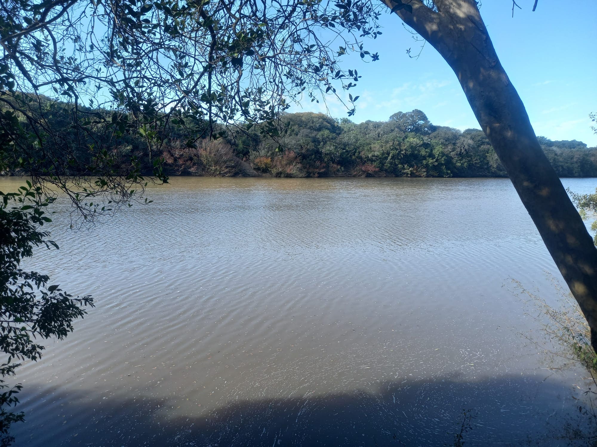 campo