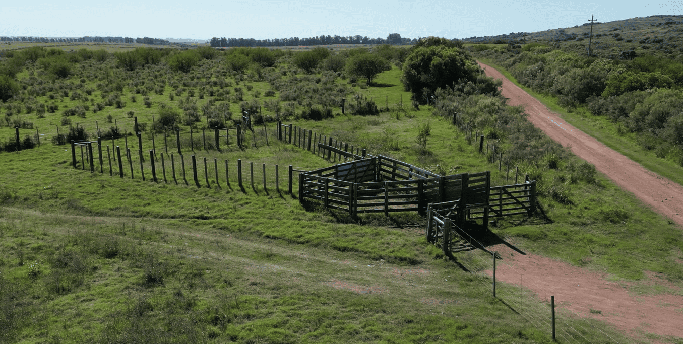 campo